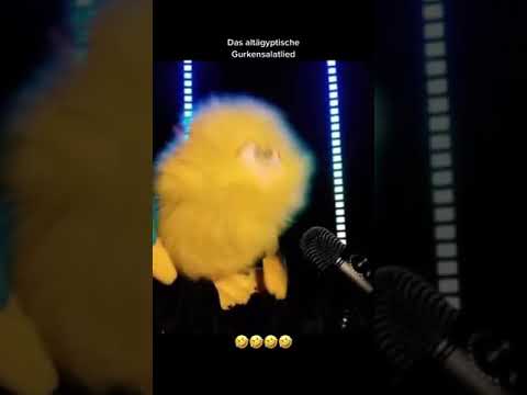 Altägyptisches gurkensalat Lied