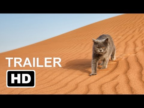 [TRAILER] 1001 Inventions and the Book of Animals
