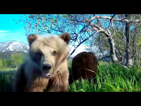 video-pomog-sosedke-donesti-sumku-kartinki-porno-foto-zrelaya