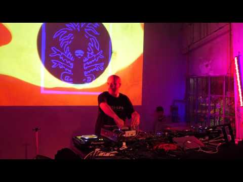 Vibronics @ Dubwise (MI) Italy - "Are You Ready" ft. Macka B + Dub