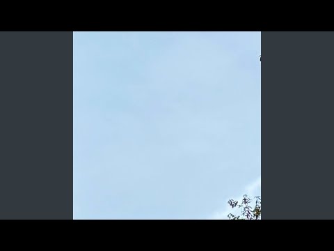 Yape Scorched Earth Policy