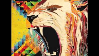 Dub Gabriel feat. MC ZULU - No Lies