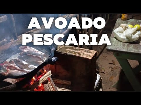 🦈 PESCARIA NO RIO ARAPIRANGA"CURUÇÁ"🦈 CARDUME DE BAGRE " 