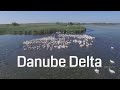 Danube Delta 2017 Raw Footage Romania