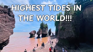 I Watched The World's Highest Tides at Bay of Fundy | Hopewell Rocks Travel Guide