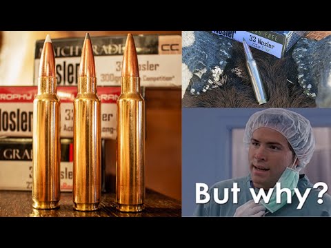 NOSLER BALLISTIC TIP BULLET