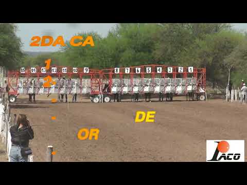 NOBA  HIPODROMO PANGARE CRUZ DEL EJE 06 11 2022