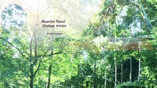 Download lagu Maurice Ravel：Oiseaux tristes／ラヴェル：《鏡》より第2曲「悲しき鳥たち」／Risako Fukagai 深貝理紗子 mp3