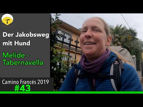 Der Jakobsweg von Melide nach Tabernavella - Doku 2019 (4K) [Es kracht gewaltig] |#Camino Francés