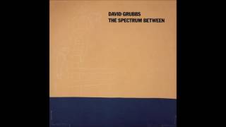 David Grubbs - The Spectrum Between