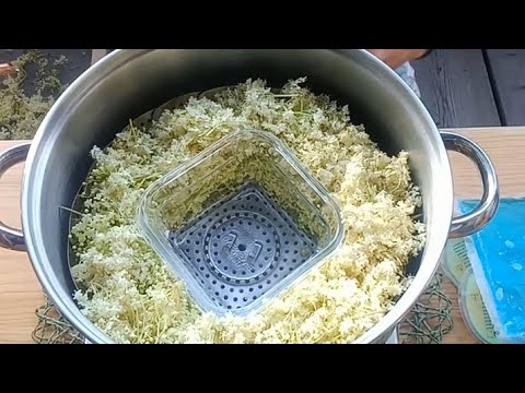 Holunderblüten-Hydrolat / Ohne Destille, ganz einfach selbstgemacht