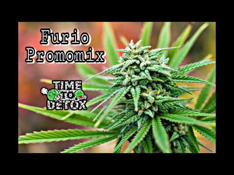 Furio - Promomix Time To Detox