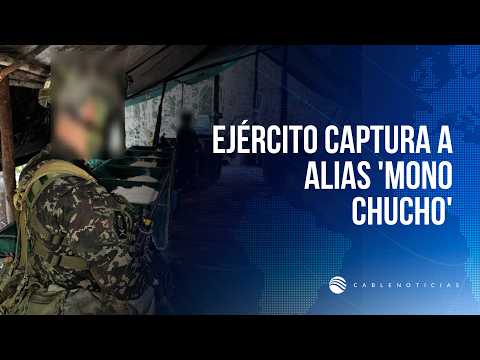 Caen toneladas de coca del Clan del Golfo en Antioquia