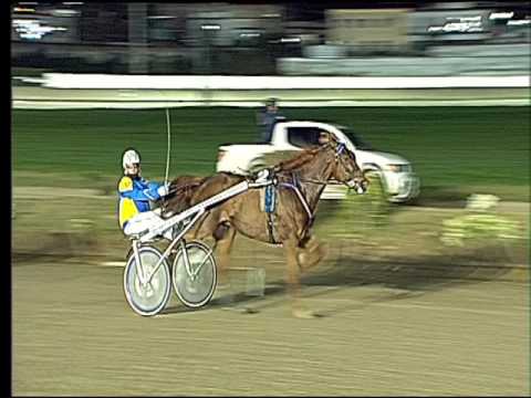 Trotto 05/03/2017 - 8ª corsa - TRIS