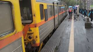 自八斗子段邊坡工程完成後第一次紀錄海科館～八斗子段+在八斗子拍到了一個驚喜