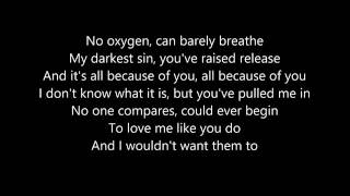 Selena Gomez   Nobody lyrics