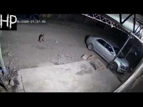 Vídeo Análisis En Hora Paranormal. Caimancito - Jujuy.