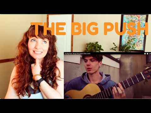 The Big Push-Bongo Bong (Manu Chao cover)
