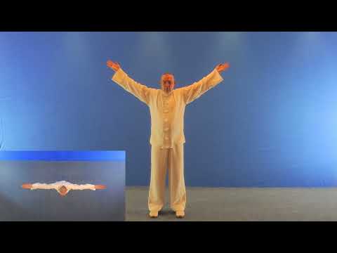 Taichi Chuan Wu Stil Basis Übung 1