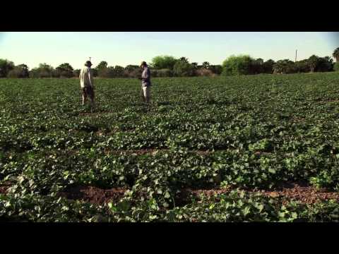 FarmLand Movie Trailer