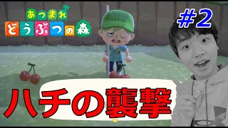 【あつまれどうぶつの森】橋づくりのつもりが、ハチに刺されてしまいました。。。#2