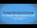 Utah Flood Cleanup offers 24/7 service for water damage, fire and smoke damage, mold remediation, and carpet cleaning.