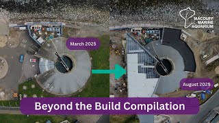 Beyond the Build Compilation