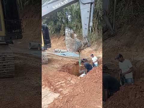 Trabalho de hoje Pien parana