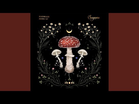 Drift Visions (Extended Mix)