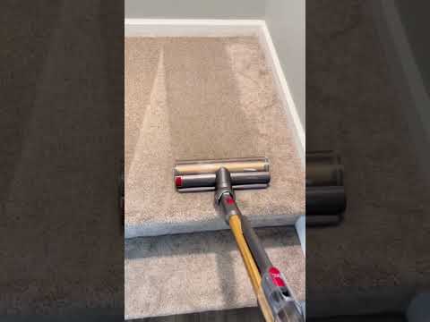 It does so well on carpet 🫶🏼 #dysonvacuum #dyson #vacuumwithme