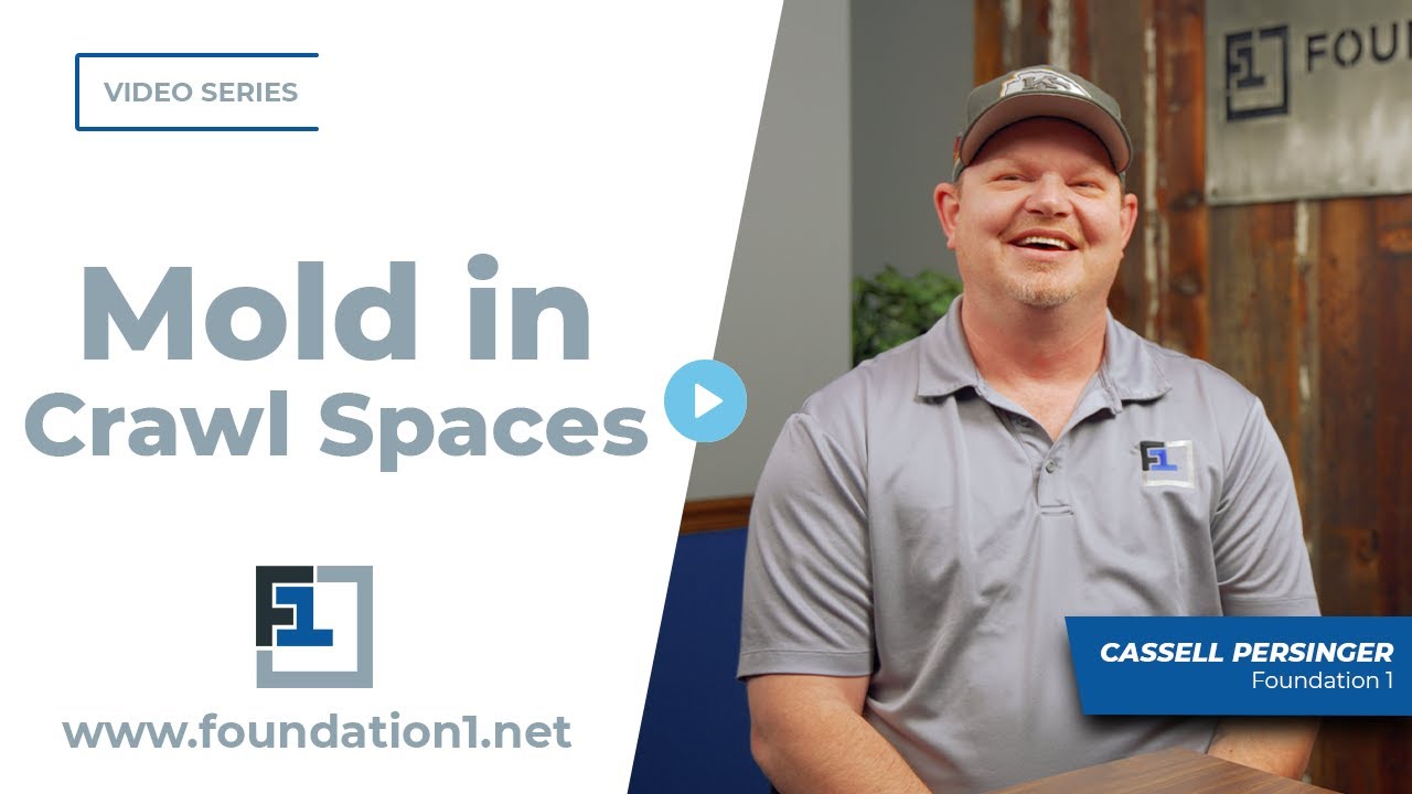 How Much Mold in Crawl Spaces Is Too Much? | Foundation 1