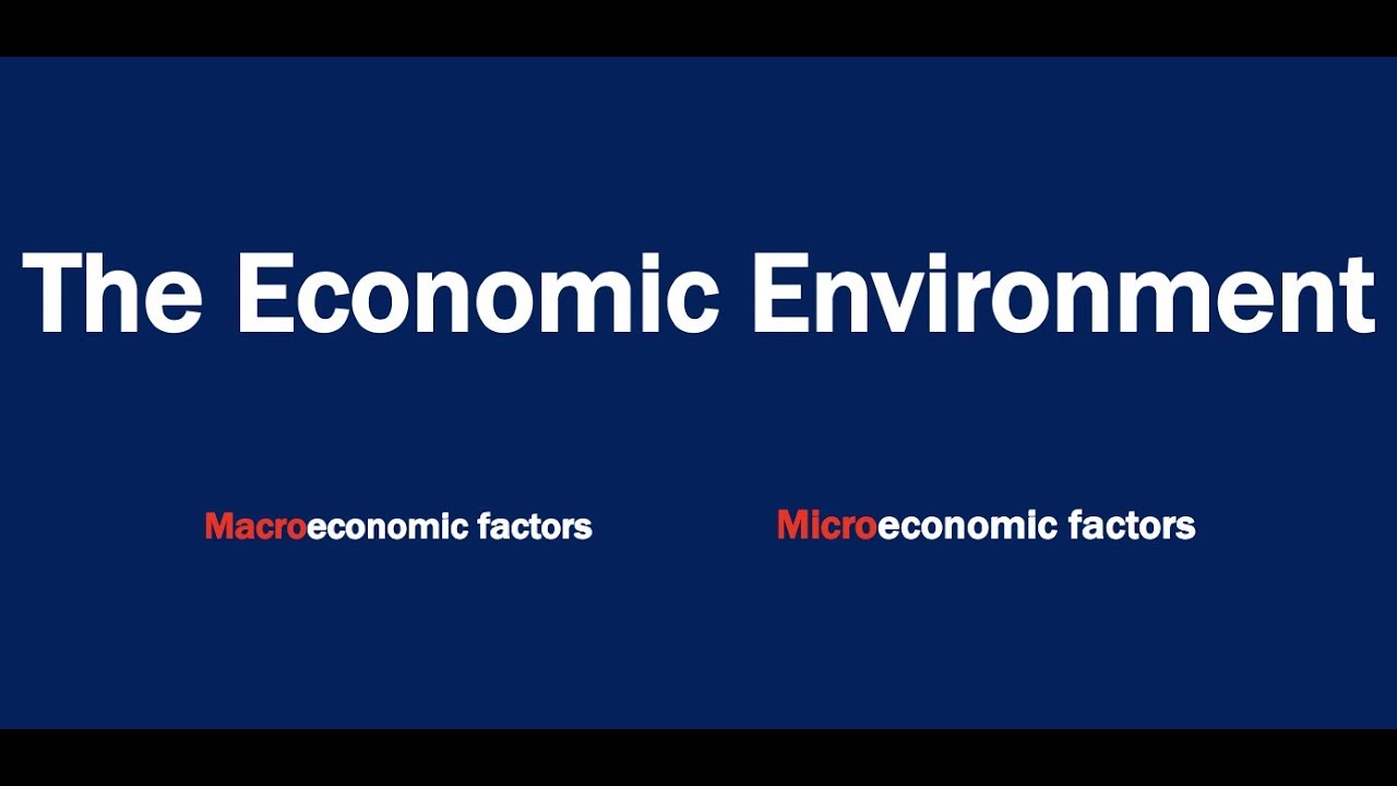 What is the Economic Environment
