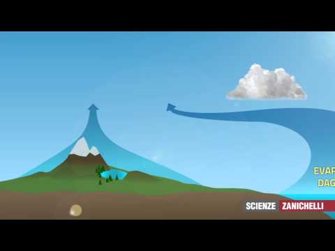 Il ciclo dell'acqua