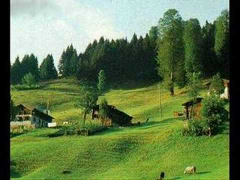 Gülşen Civelek - Hastane Önü