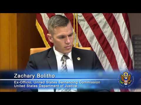 USSC Public Hearing: Synthetic Cathinones - Panel 1