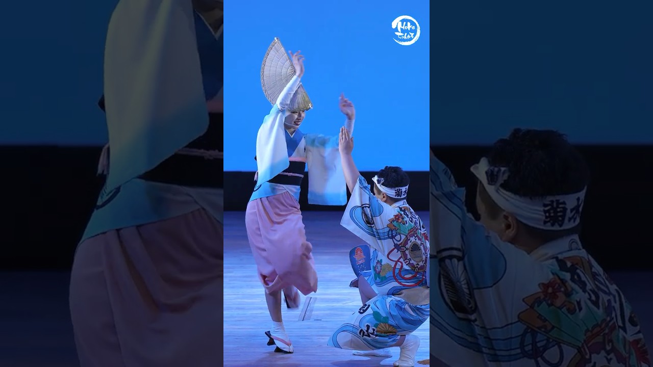 菊水連 はなはるフェスタまだかなぁ #阿波おどり#阿波踊り#阿波舞#さくら