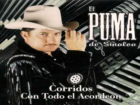 EL PUMA DE SINALOA ~ EL CULEBRA ~.corridos  con  todo   y  el acordeon
