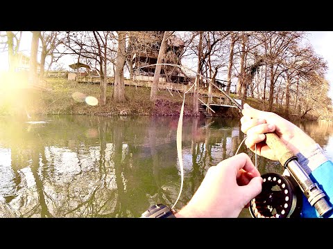 Fly Fishing the Guadalupe River for Texas Rainbow Trout