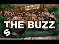 New World Sound & Timmy Trumpet - The Buzz ...