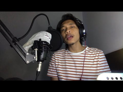 Vibez - Zayn ( cover )