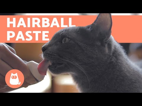 HAIRBALL PASTE for CATS - Benefits, Dosage and Application
