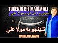 Tuhenjo Bhi Maulla Ali Nadeem Ali Deewano Dedar Ja Nasha Unjaro A He Dewano Senay Main Aa Dil