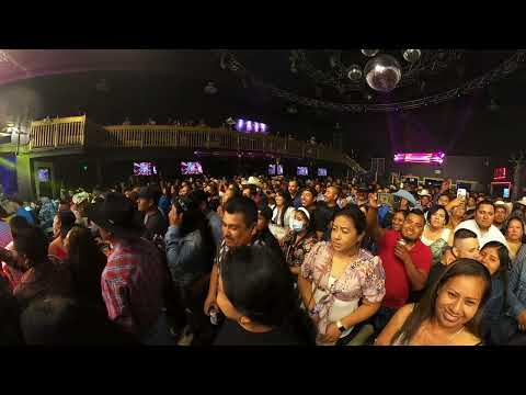 La Dama Brava en Gilroy CA