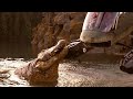 Top 10 Best Crocodile Alligator Movies Of All Time