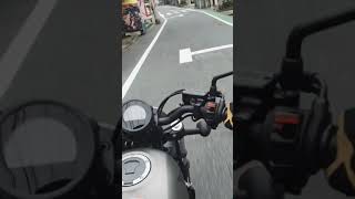 Rebel 250 バイク女子に全然興味ない猫