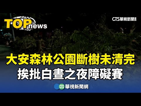 大安森林公園斷樹未清完　挨批白晝之夜障礙賽