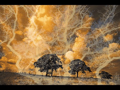 LifeForce Climate Exhibition 2022