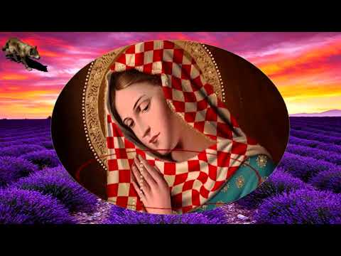 TOMISLAV IVCIC-ZDRAVO DJEVO, KRALJICE HRVATA (TEKST)