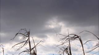 Music video thumbnail preview for Tenniscoats - Simple Re by Tenniscoats