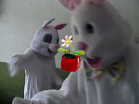 Ricky Montgomery - Type A (Official Lyric Video)